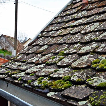 travaux de charpente  près de Chartres